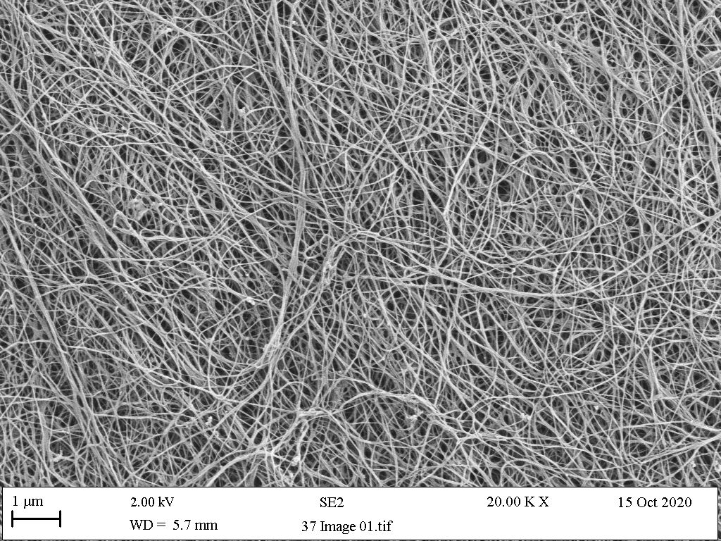 The use of bacterial cellulose as a technical textile Manchester